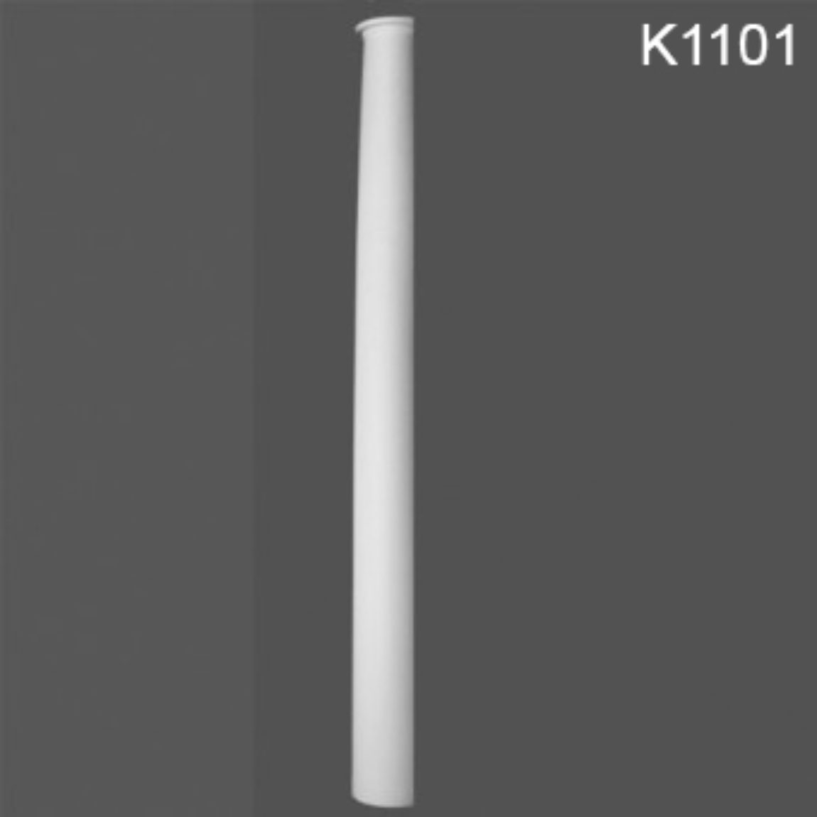 K1101