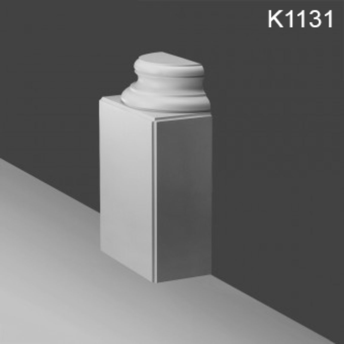 K1131